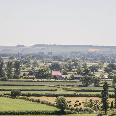 Chestnut Great Edston